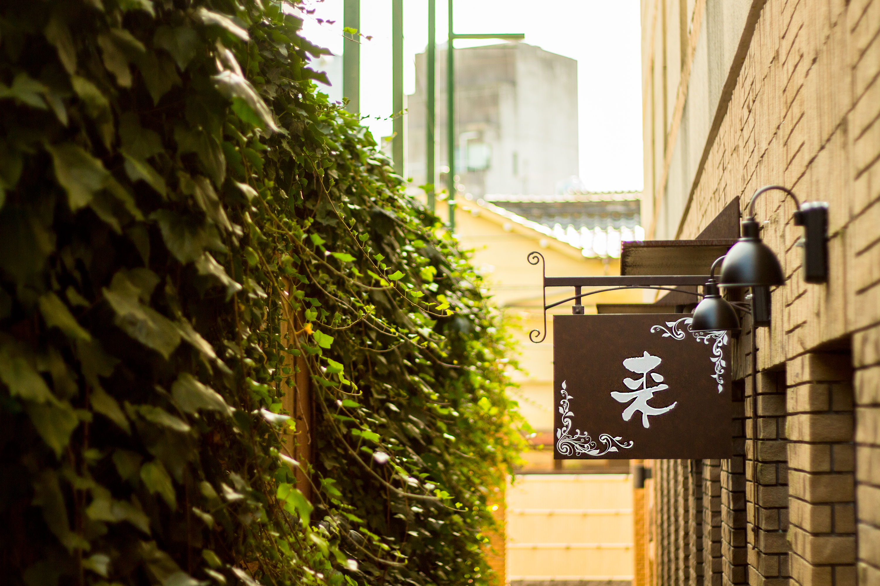 来　看板２
